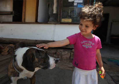 Owning a pet may in fact help children with their homework rather than hinder their progress, a new study has revealed