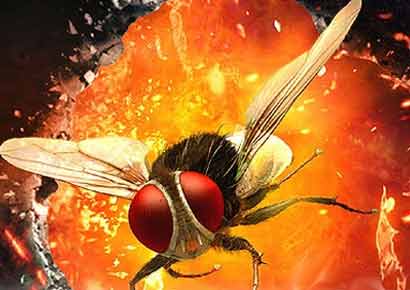 A still from <i>Makkhi</i> A still from <i>Makkhi</i>