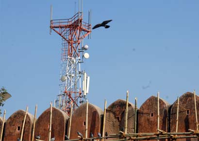 A PIL seeks direction for the government to ban installation of cell phone towers in highly populated areas, protected natural areas and spaces where endangered species live