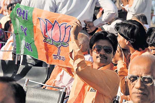 A BJP activist holds up the party flag.