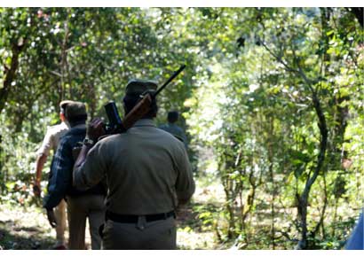 Members of the anti-Naxal squad search for a woman Naxal, who escaped during an gunbattle in the Mavena Hola forest range of Chikmagalur district in Karnataka on November 19, 2008.