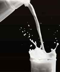 Milk 