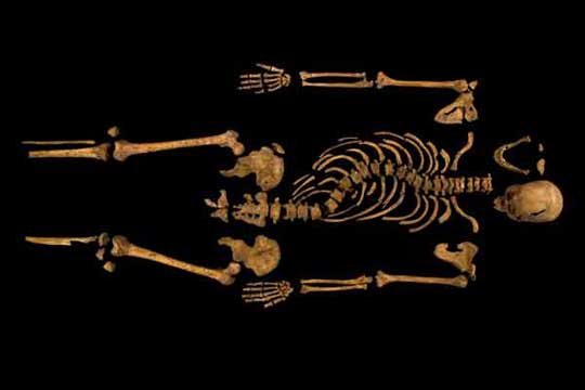 The bones of the king