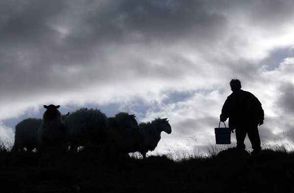 PJ McHugh, 74, feeds the sheep on his farm in Laconnell on the west coast of County Donegal.
Photo by: Nathal McNaughton
(Reuters)