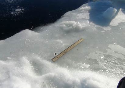 A ruler is used to examine fragments said by the Interior Ministry department for Chelyabinsk region to be from a meteorite, near an ice hole on lake Chebarkul some 80 km west of Chelyabinsk.
