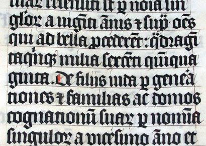 Calligraphy in a Latin Bible of AD 1407 