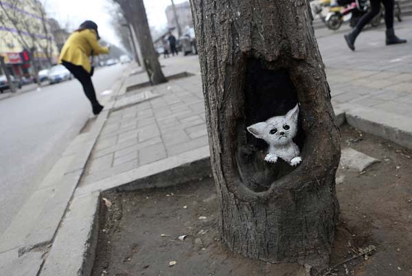 From a bee collecting pollen from a sunflower to a seagull standing on the head of the statue of St Peter. Here are March 13's best pictures picked by DNA's Web Team.
An image of a cat painted on a tree hole by Wang Yue is seen in Shijiazhuang, Hebei province.
Photo by Pillar Lee
(Reuters)
