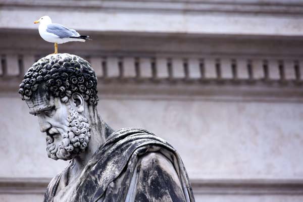 A seagull stands on the head of the statue of St. Peter as people wait for news on the election of a new Pope in St. Peter's Square.
Photo by Franco Origlia
(Reuters)