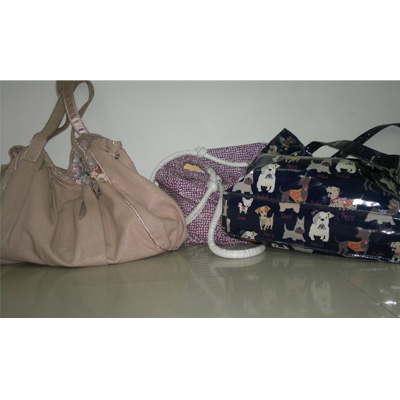 Study shows women's purses are dirtier than toilet seats and flushes