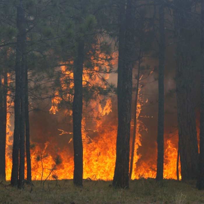 Colorado wildfire destroys more than 90 homes as winds worsen ...