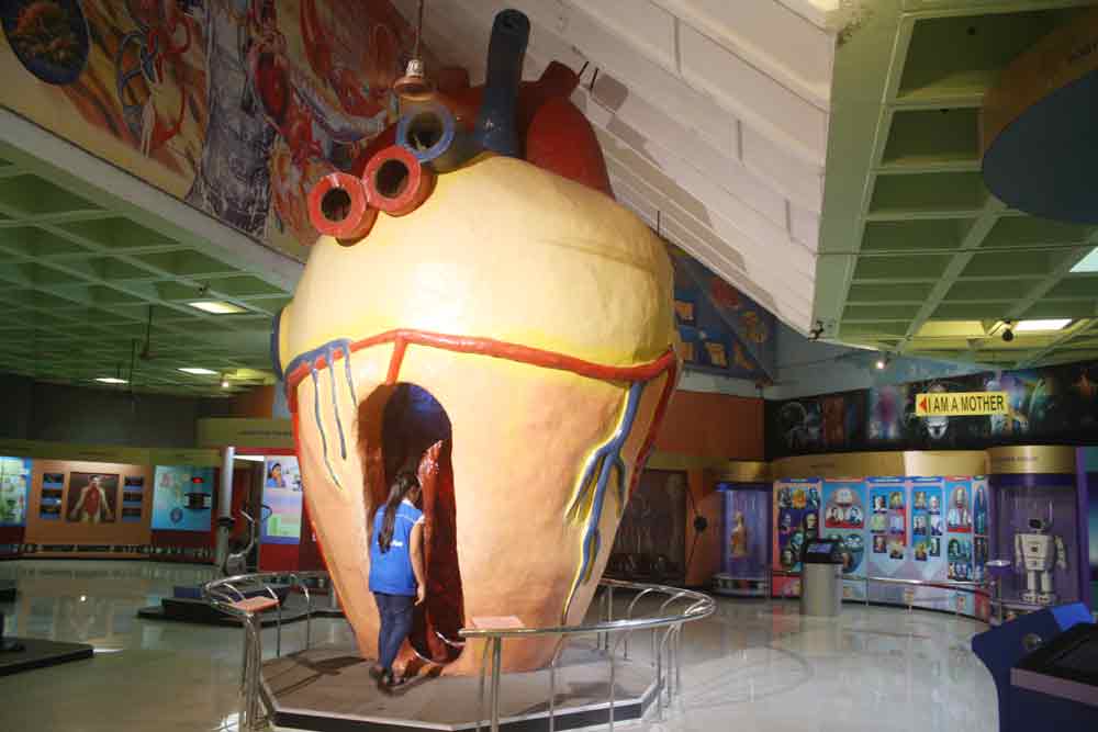 Six amazing things you can see at Mumbai's Nehru Science Centre