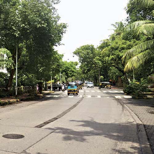 Residents' initiative has ensured flourishing trees along Perry Road in Bandra.