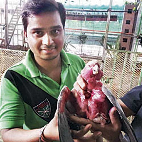 Manish Pathak with the galah cockatoo.