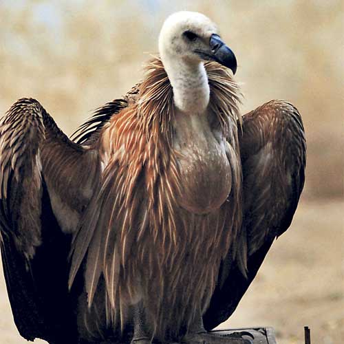 Representational photo
