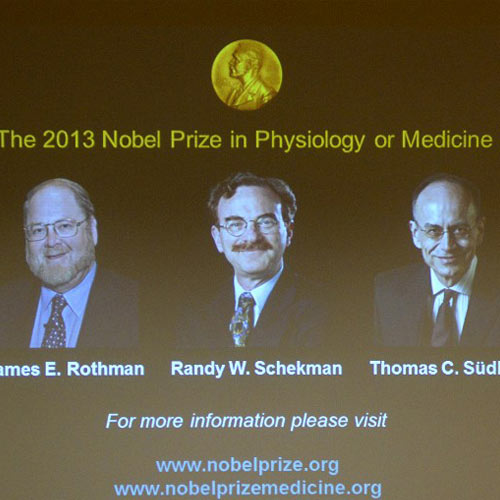 James Rothman, Randy Schekman and Thomas Sudhof