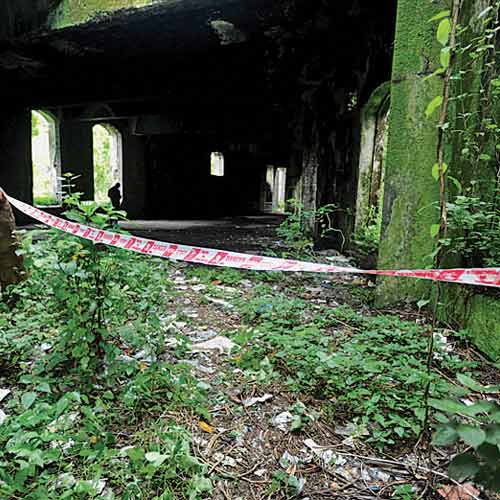 The shrubby interiors of the Shakti Mills compound.