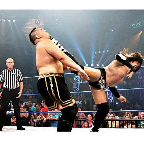 TNA wrestling has a massive following among viewers of all ages.