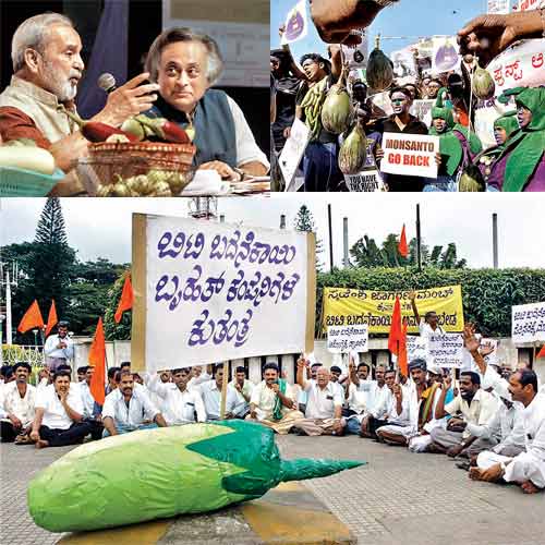 Protests against GM food erupted in the country the moment the 'high-tech' crop came into news. The then Union minister Jairam Ramesh got a taste of disapproval at public discussions he held over the issue.