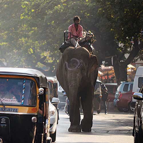 Representational pic