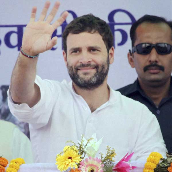 Congress workers meet Rahul Gandhi, hail him for passage of Lokpal ...