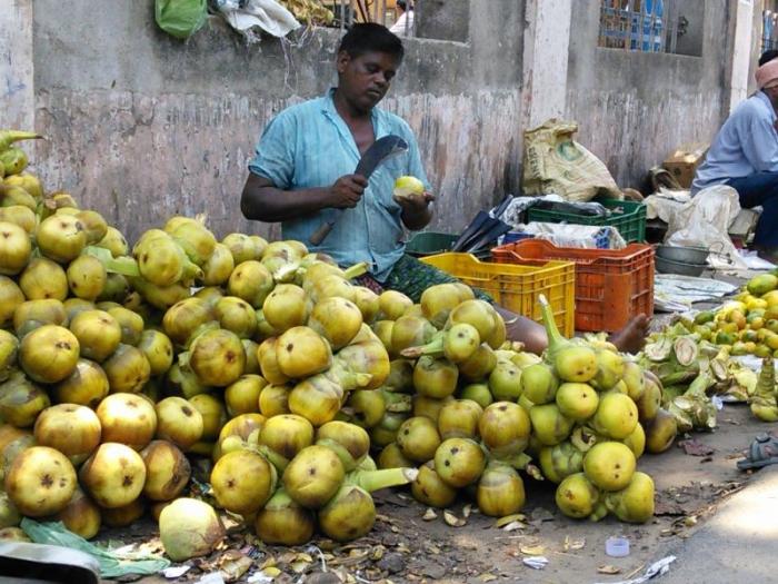 A fruit vendor selling ice-apple in Cuttack