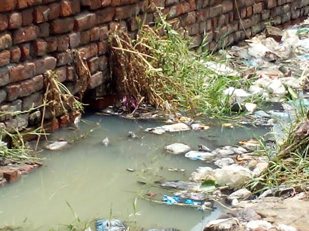 thane mulund dumping ground breeds diseases Thane mulund dumping ground breeds diseases ie: closure of gorai dumping ground delayed: feb dumping ground, harmful effects, diseases introduction. thane mulund dumping ground breeds diseases Thane mulund dumping ground breeds diseases ie: closure of gorai dumping ground delayed: feb dumping ground, harmful effects, diseases introduction.