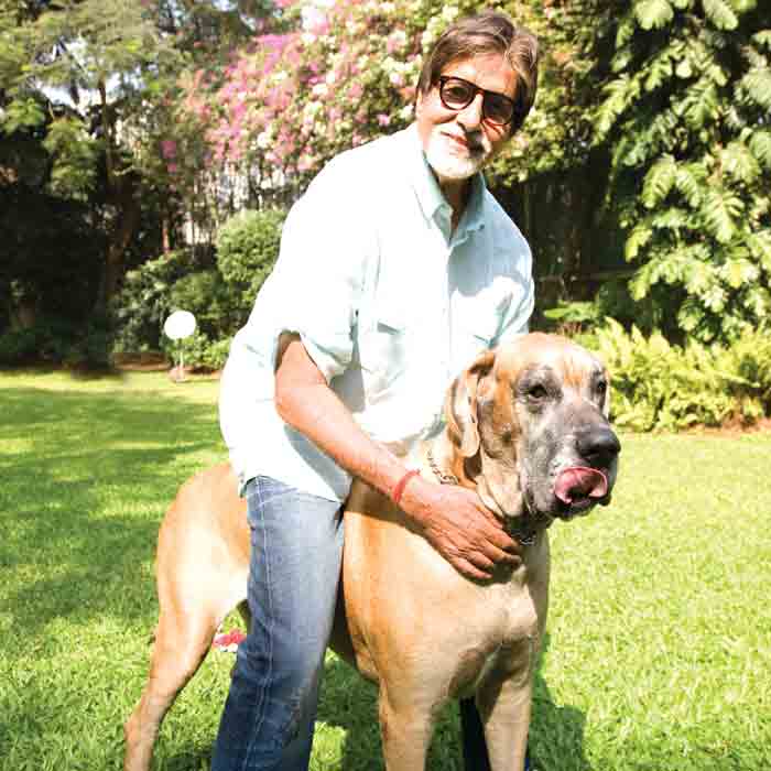 Image result for amitabh bachchan with his dog