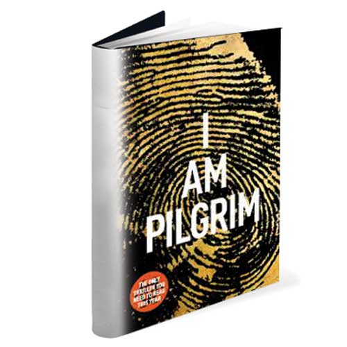 i am pilgrim novel