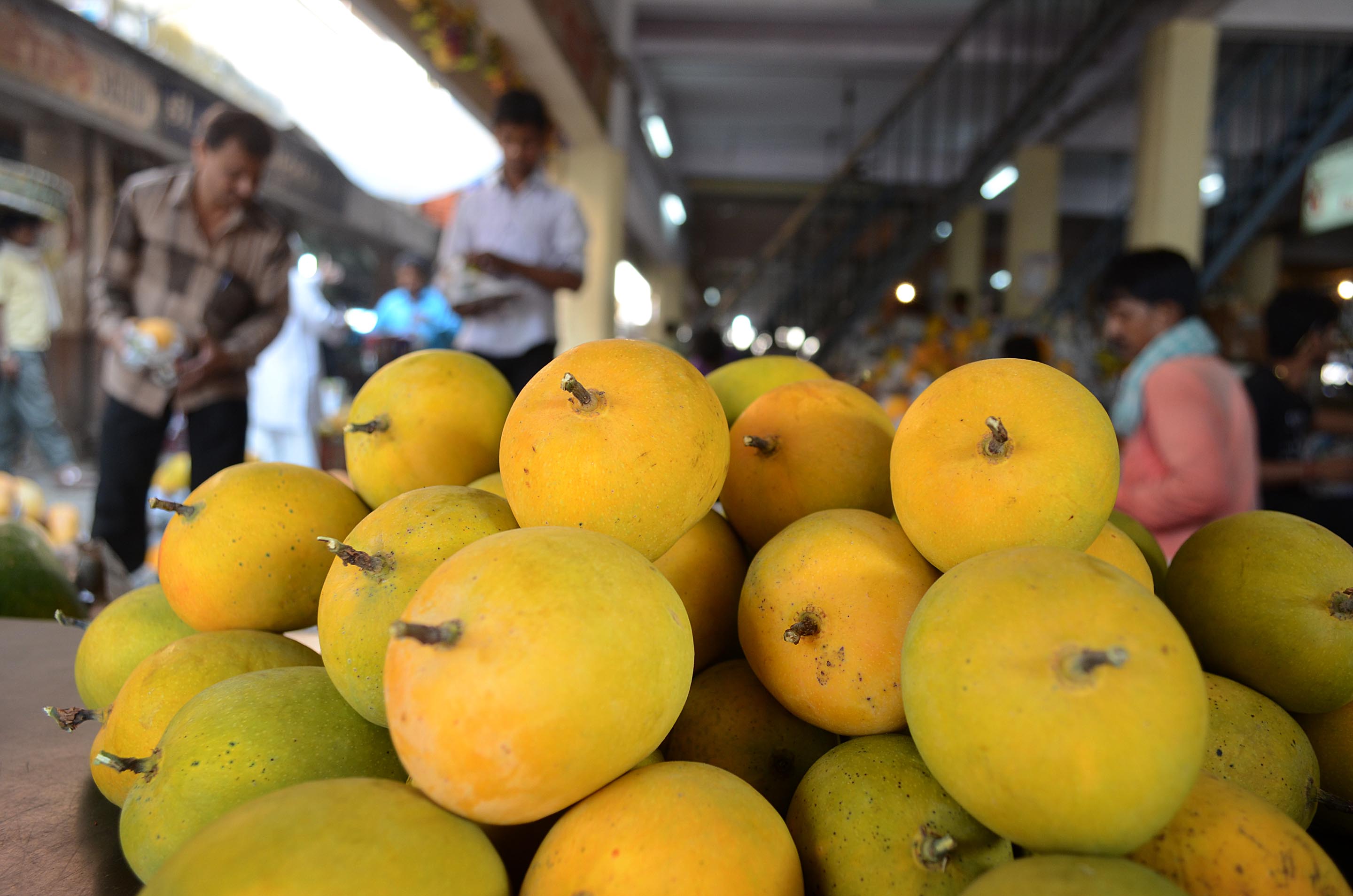 Alphonso Mango to lure your taste buds till July but will also arrive later this year