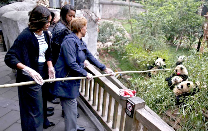 US first lady Michelle Obama (L) and her mother Marian Robinson (R) feed apple to giant pandas as daughter Malia looks on during their visit at Giant Panda Research Base in Chengdu, Sichuan province. Reuters/Petar Kujundzic