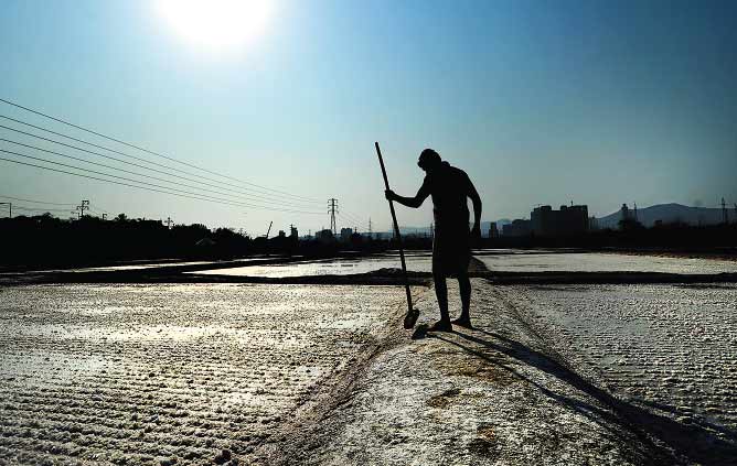 A labourer toils under the summer sun at a salt pan in Bhandup on Monday as Maharashtrians celebrated the New Year —Rajendra Gawankar/dna A labourer toils under the summer sun at a salt pan in Bhandup on Monday as Maharashtrians celebrated the New Year —Rajendra Gawankar/dna