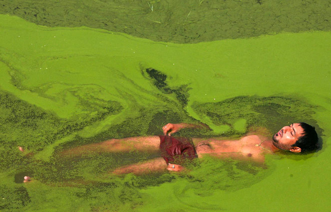 A man cools himself in a pond on a hot summer day on the outskirts of Jammu on June 11, 2014. North India has endured a heat wave in the last week, with temperatures in some parts of Delhi reaching a 62-year high. Image: Reuters/Mukesh Gupta jammu-heat-wave