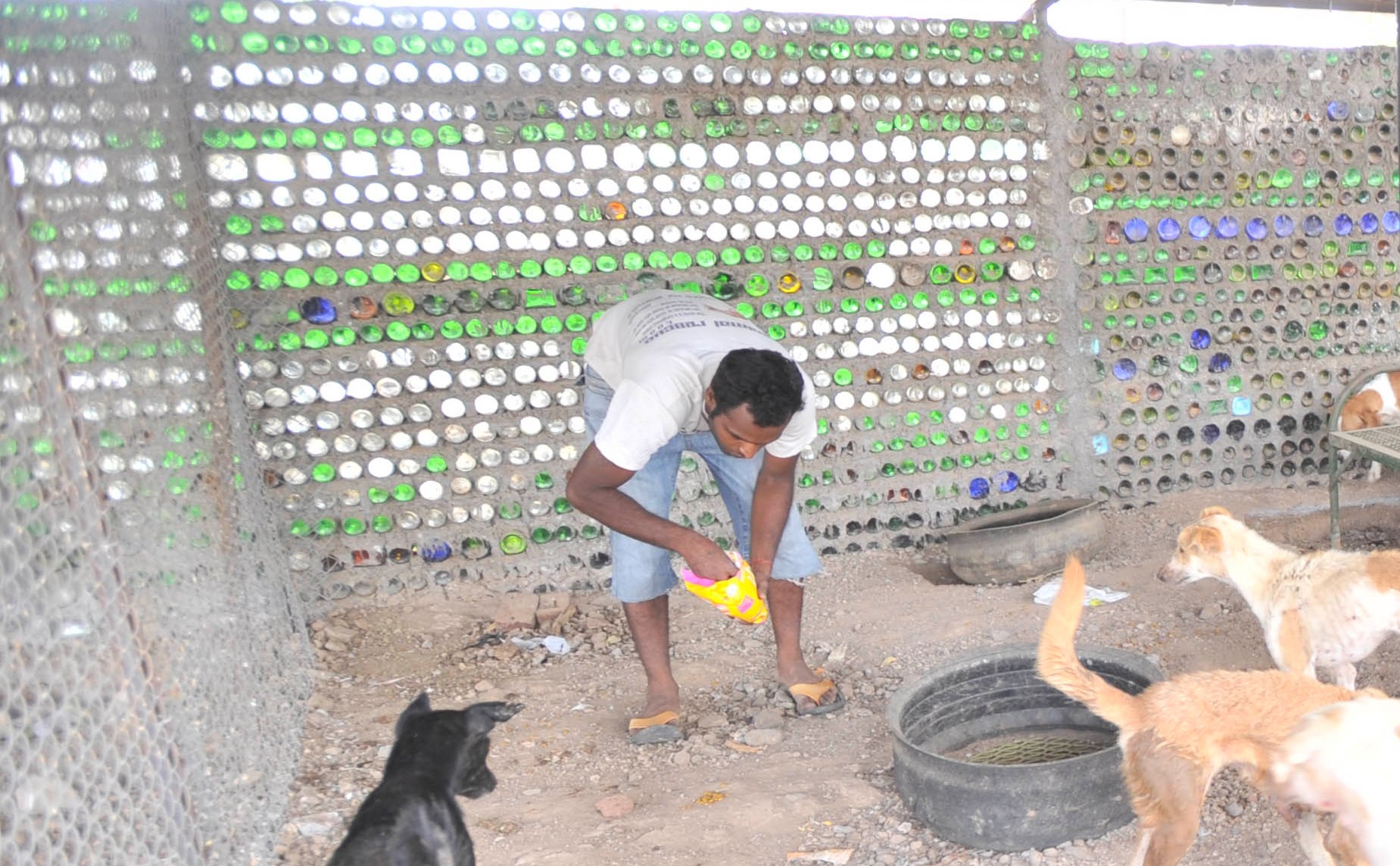 How this animal shelter in Pune was built using plastic bottles