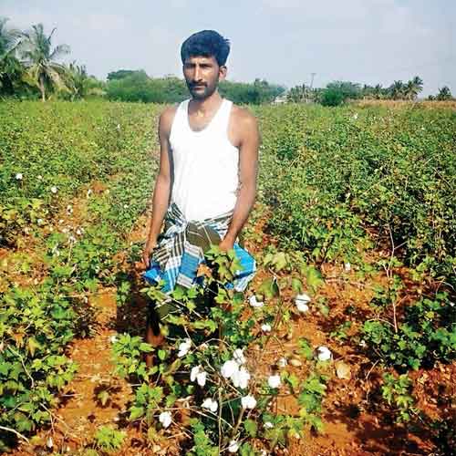 Government apathy tosses Karnataka farmers at mercy of private.