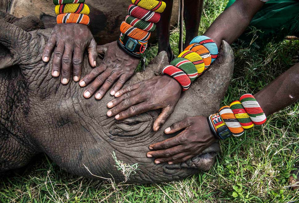 Second Prize in Nature Category by Ami Vitale, US Photographer with National Geographic. The picture is of Samburu warriors encountering rhino in Kenya.