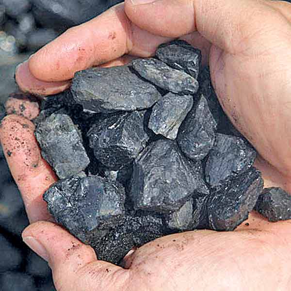 India to auction 15-20 more mines if Coal Bill passed in Rajya.