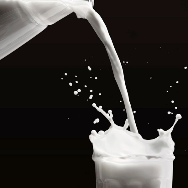 Consumption of high-fat dairy foods linked to reduced risk of type.