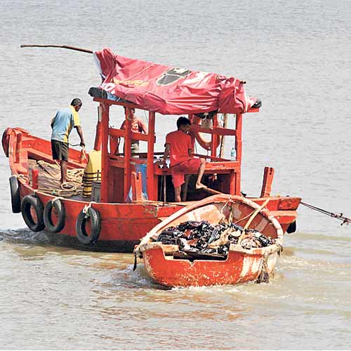 33 Indian fishermen arrested by Sri Lankan navy | Latest News.