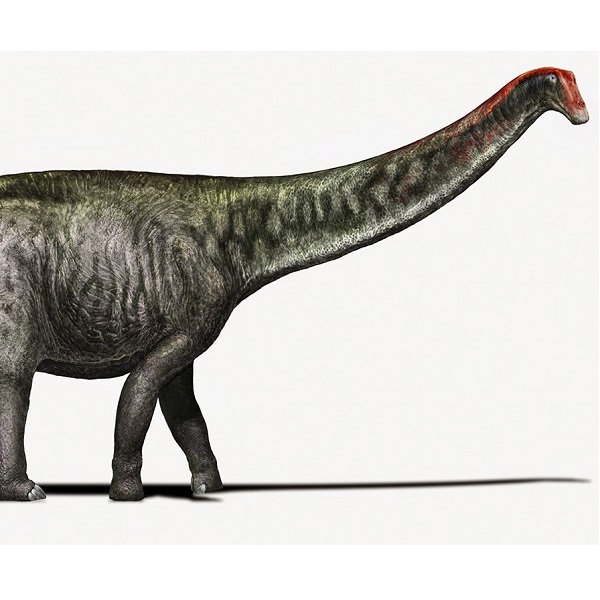 bronto dinosaur