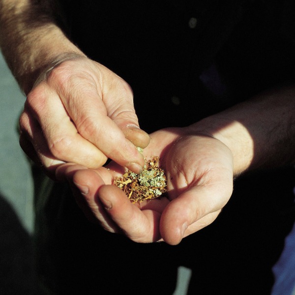 Pro-legalization groups prepare for marijuana measures in 2016