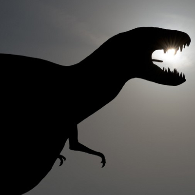 Two new 'nesting sites' of dinosaurs found in Madhya Pradesh