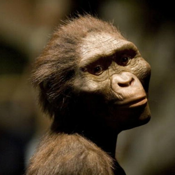 Six things you must know about Lucy, the oldest discovered hominid