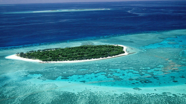 11-year-old bitten by shark in Australia's Great Barrier Reef - 640 x 360 jpeg 237kB