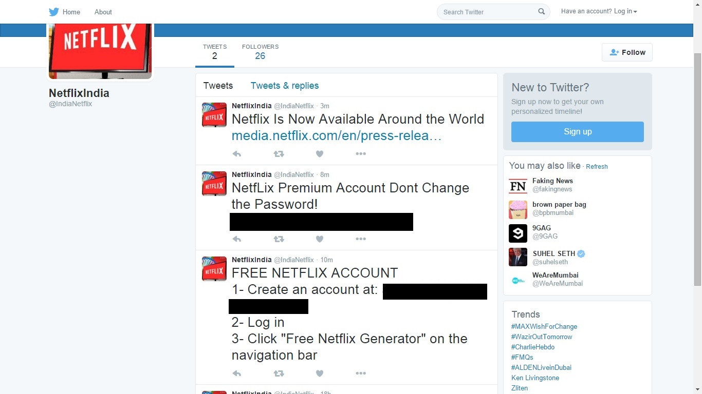 fake netflix accounts