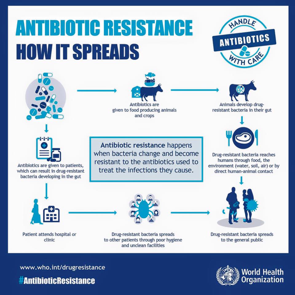 WHO suggests new treatment for bacterial STDs as antibiotic