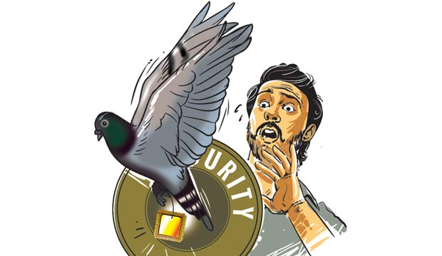 Jammu & Kashmir: Probe into use of 153 pigeons for espionage ... - Daily News & Analysis