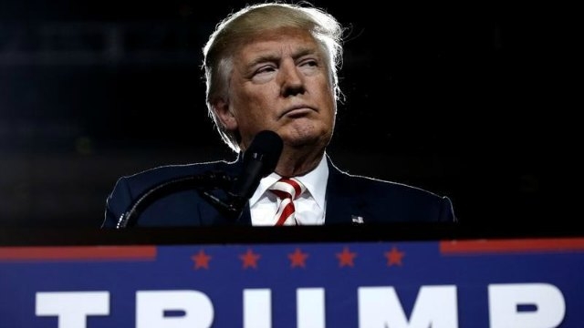latest trump cabinet picks advance including haley latest trump cabinet picks advance including haley