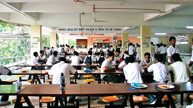Home Dna Test >> Students find dead lizard in hostel mess food Home Dna Test >> Students find dead lizard in hostel mess food