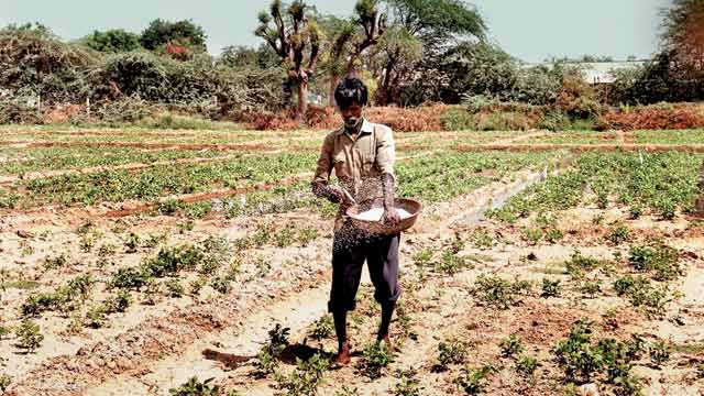 Main accused in Malvani hooch tragedy arrested from MP