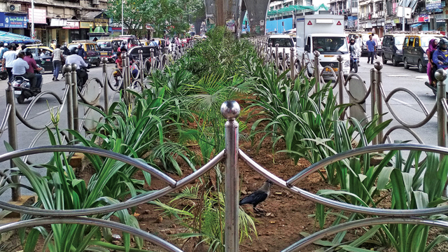 BMC beautifies space under JJ flyover